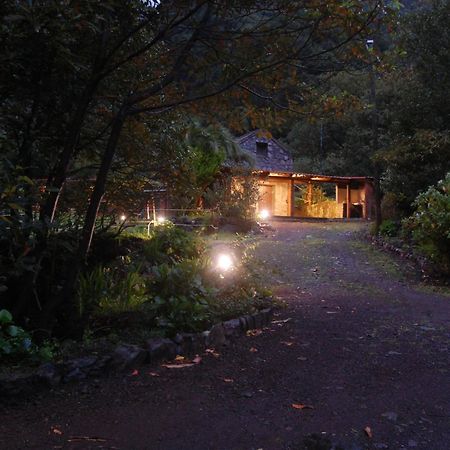 Nature Retreat - Laurel Forest Seixal  Buitenkant foto