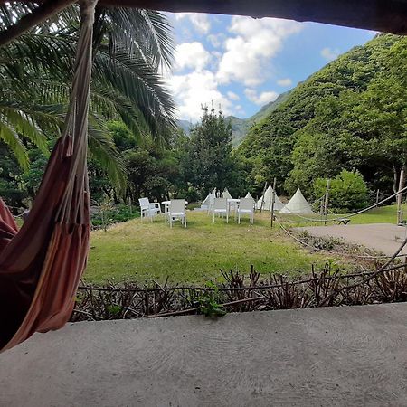 Nature Retreat - Laurel Forest Seixal  Buitenkant foto