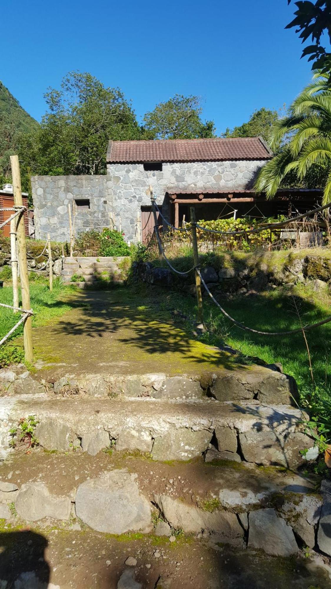 Nature Retreat - Laurel Forest Seixal  Buitenkant foto