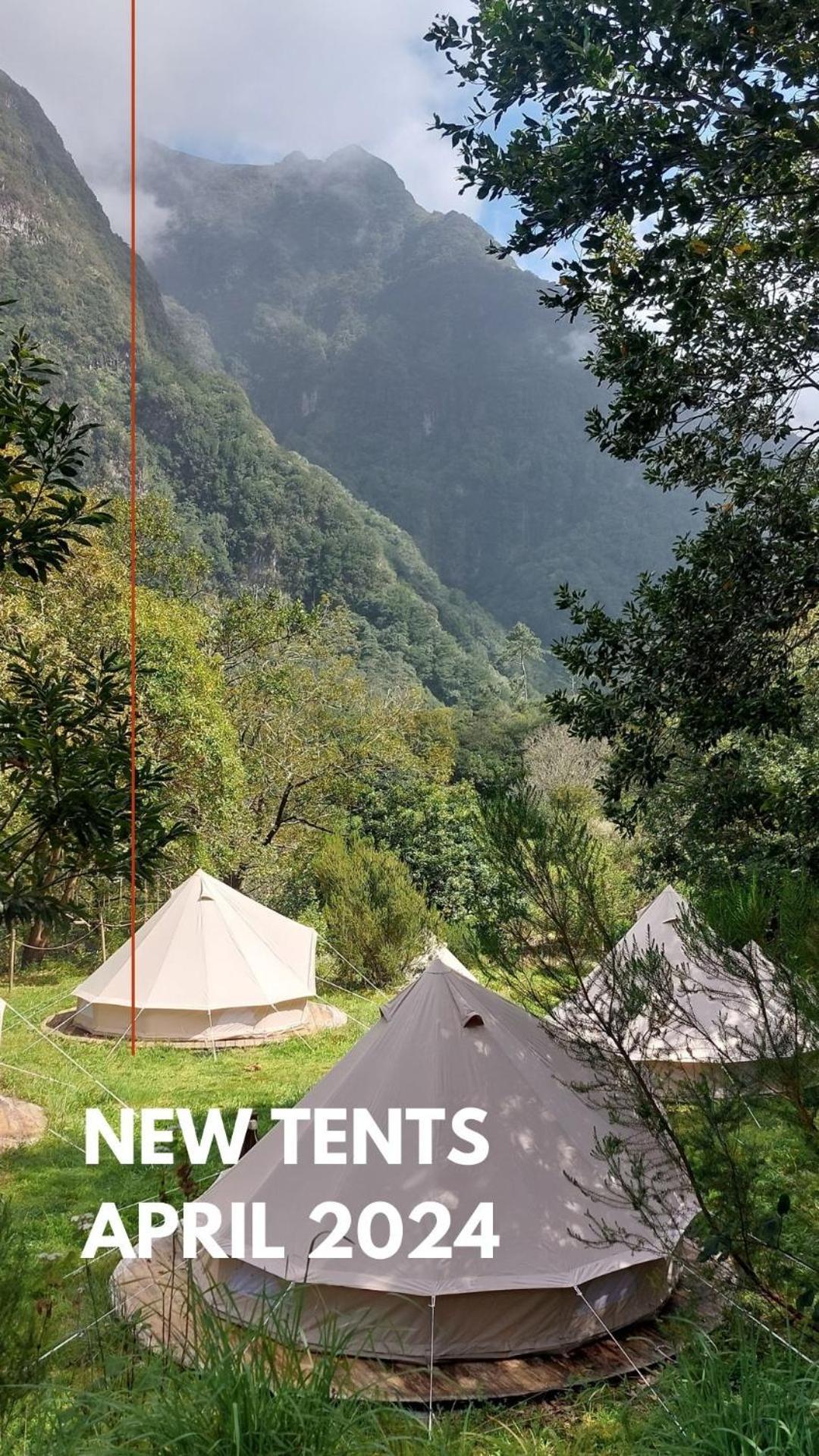 Nature Retreat - Laurel Forest Seixal  Buitenkant foto