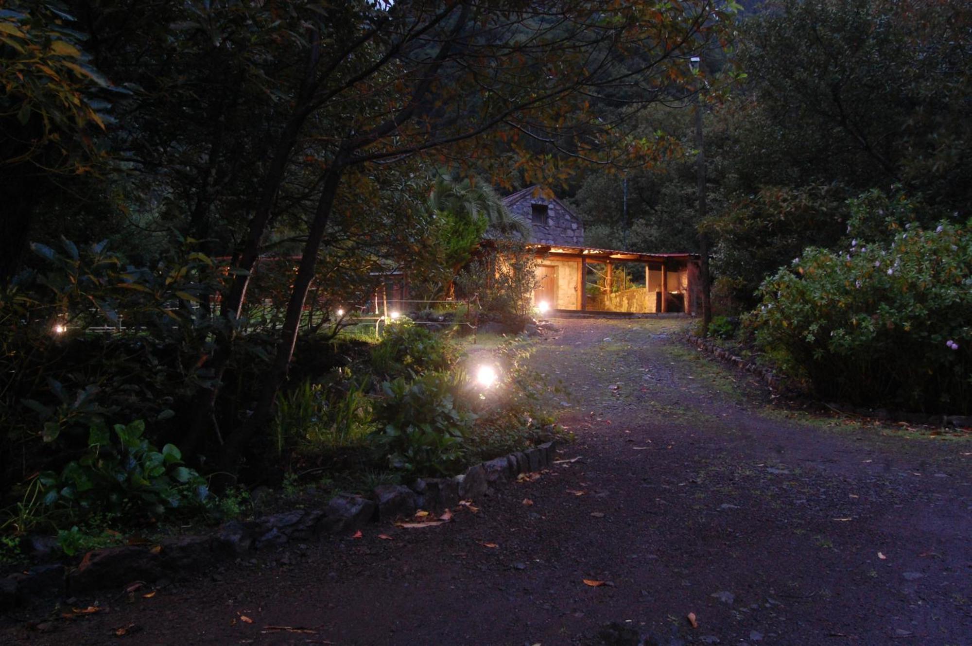 Nature Retreat - Laurel Forest Seixal  Buitenkant foto